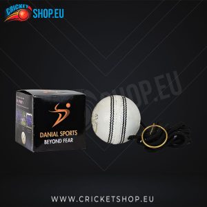 DS Cricket Ball