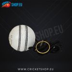 DS Cricket Ball