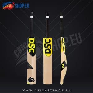 DSC Condor Glider English Willow Cricket Bat