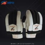 DS Sports Black/White 1.0 Batting Gloves Junior