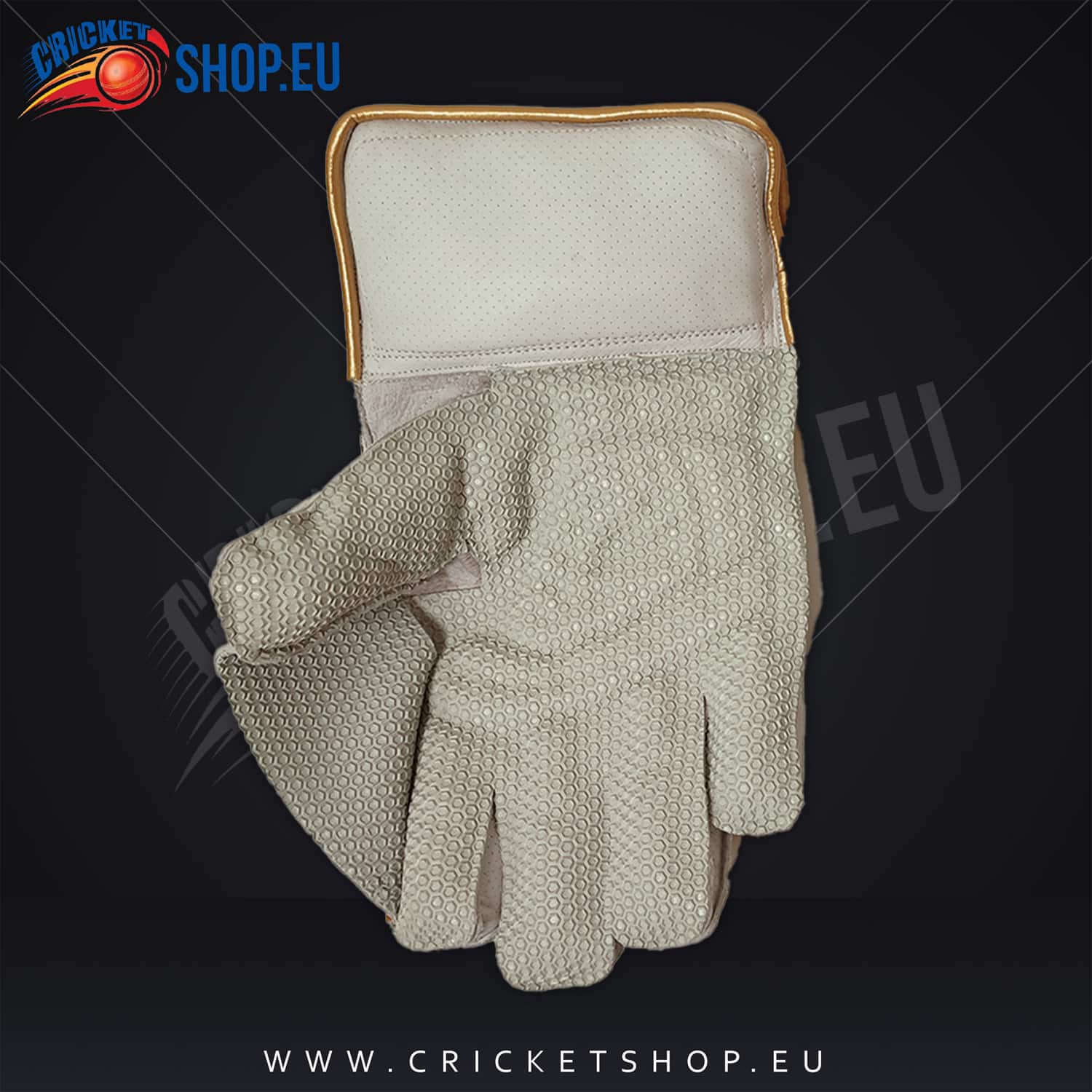 DS Sports Wicket Keeping Gloves