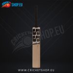 SS Master 99 English Willow Cricket Bat SH