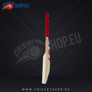 SG Cricket Catch Practice Bat