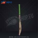SS Dynasty English Willow Cricket Bat