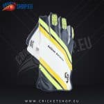 SG RSD Prolite Wicket Keeping Gloves (Multi-Color)