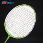 Gold Bull Badminton Racket