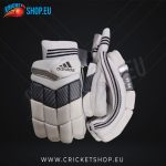 Adidas XT 4.0 Cricket Batting Gloves (Black-White)