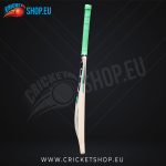 SS Magnet Kashmir Willow Cricket Bat SH