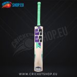 SS Magnet Kashmir Willow Cricket Bat SH
