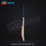 SS SKY Player Kashmir Willow Cricket Bat