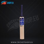 SS SKY Player Kashmir Willow Cricket Bat