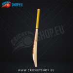 SS Vintage Rapier Kashmir Willow Cricket Bat