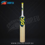DSC Roar Blast Kashmir Willow Cricket Bat