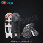 DS Black Cricket Pads & Gloves Set