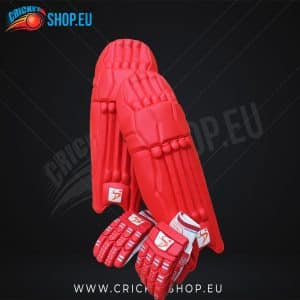 DS Red Cricket Pads & Gloves Set