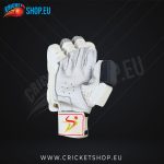 DS Sports BLK/SLV Cricket Batting Gloves