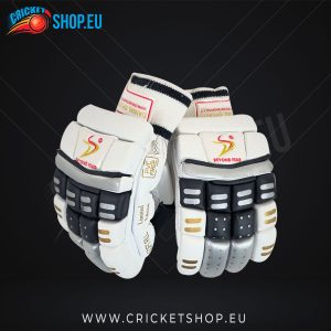 DS Sports BLK/SLV Cricket Batting Gloves