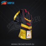 DS 1.0 Wicket Keeping Gloves Youth