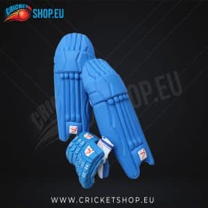 DS Blue Cricket Pads & Gloves Set