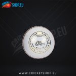 DS Indoor Cricket Ball White