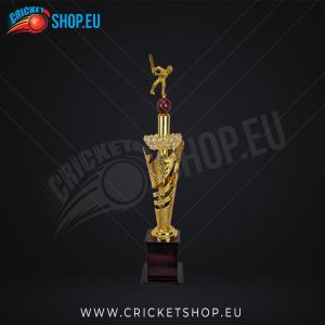 Iconic Cricket Trophy