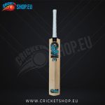 Gunn And Moore Diamond 101 Kashmir Willow Cricket Bat