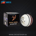 DS Match Red/White Cricket Ball