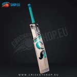 CA PRO 10000 English Willow Cricket Bat