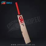 CA Pro Player Edition English Willow Cricket Bat