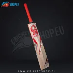 CA Pro Player Edition English Willow Cricket Bat