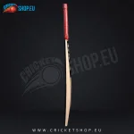 MRF Street Fighter Kashmir Willow Cricket Bat