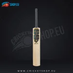 SS GG Smacker Wonder Kashmir Willow Cricket Bat SH