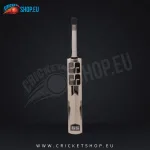 SS Power Kashmir Willow Cricket Bat