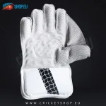 MRF Warrior Classic Wicket Keeping Gloves