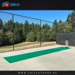 THE Paceman Hard Surface Pitch
