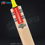 Gray Nicolls Tempesta 1.0 300 Cricket Bat